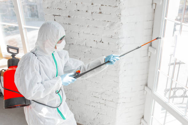 Forensic Mold Investigation in Glencoe, IL